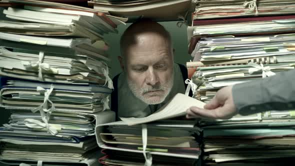 Office clerk working behind a wall of paperwork