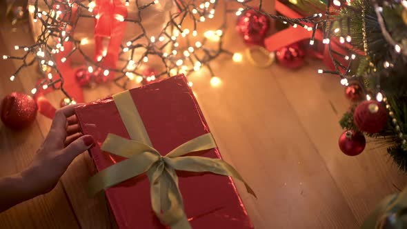 Women's hands take a large red gift box under the tree and untie the ribbon