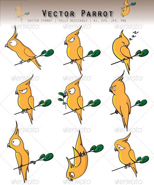 Vector Parrot - Animals Characters