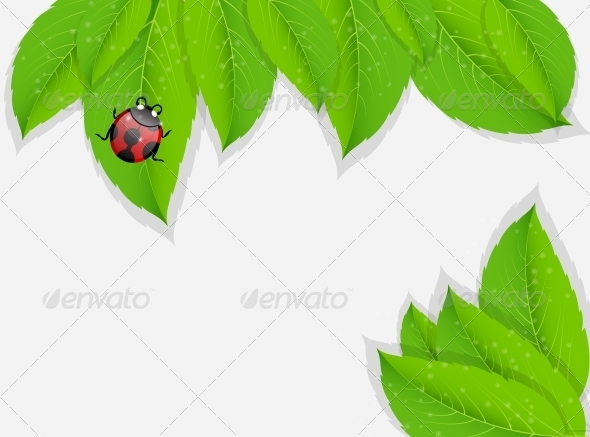 Nature Background. Vector Illustration. - Landscapes Nature