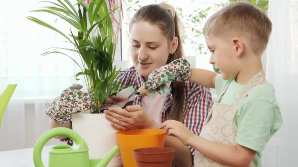 Smiling Boy Pouring Soil in Pot with Plant alt