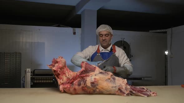 Meat Processing Plant Butcher Cuts Beef Carcasses Meat Production and Food Industry the Process of alt