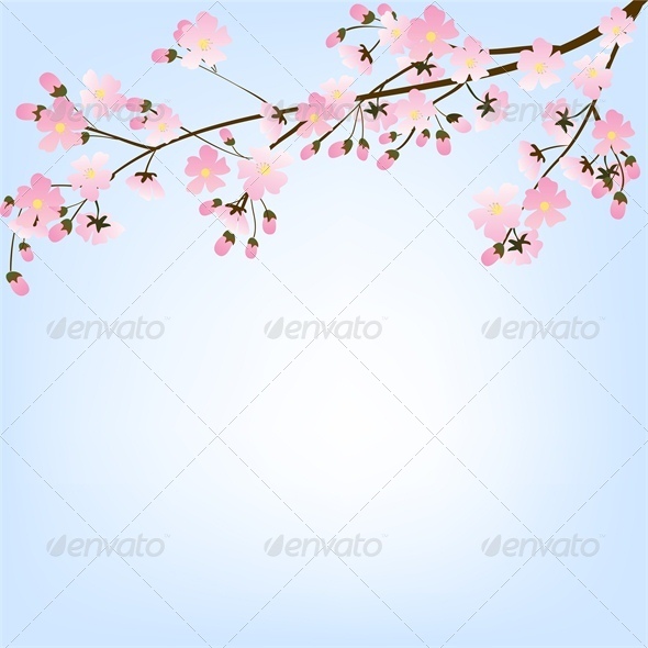 Blooming Spring Tree Branch and Blue Sky - Flourishes / Swirls Decorative