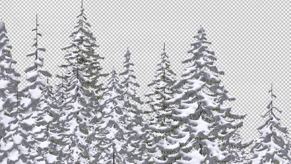 Snowy Forest - Road Passing - Transparent Loop