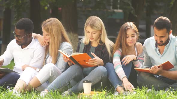 Group of Young Mixed-race Diverse Students Sitting Together on Green Lawn alt