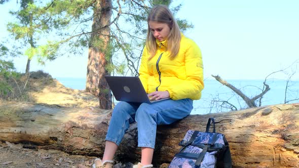 A Focused Young Woman Uses a Laptop Sitting on a Log in the Woods