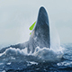 Whale Water Splash - VideoHive Item for Sale