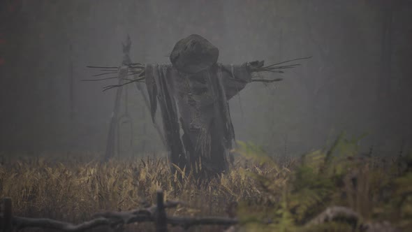 Terrible Scarecrow in Dark Cloak and Dirty Hat Stands Alone in Autumn Field alt