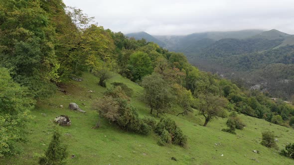 Mountain and tree area