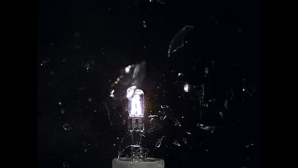 700004 Exploding light bulb  against black background, slow motion alt