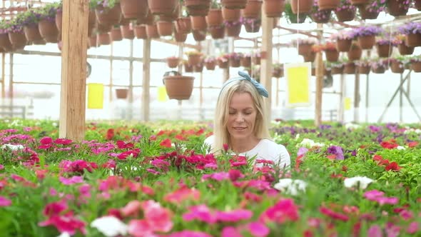 woman takes photos of blooming flowers and checks the plants on phone alt