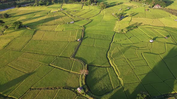 Aerial view of rice terraces field in northern of Thailand by drone