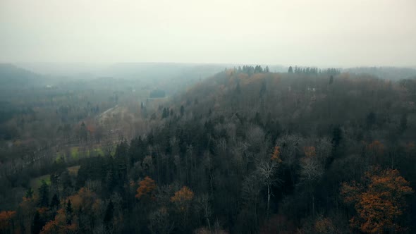 Flying High Above Lush Autumn Foggy Forest, Beautiful National Park Nature Reserve in Sigulda alt