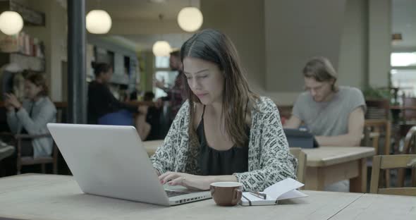 Woman working with laptop in pub