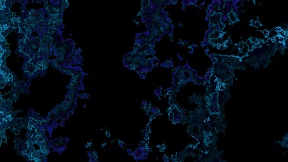 Fluid Color Movement