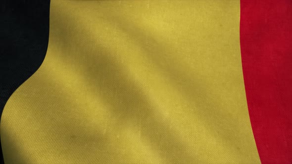 Belgium Flag in Slow Motion Animation Waving in the Wind Realistic alt