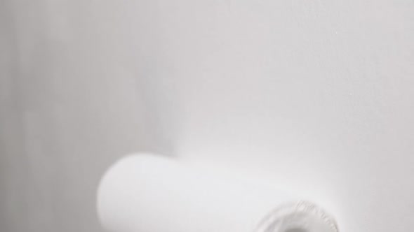 Roller Painting Wall with White Paint alt