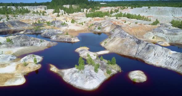 Nature Repairs Quarry By Small Trees on Stony Islands Banks alt
