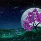 Sakura And the Moon - VideoHive Item for Sale