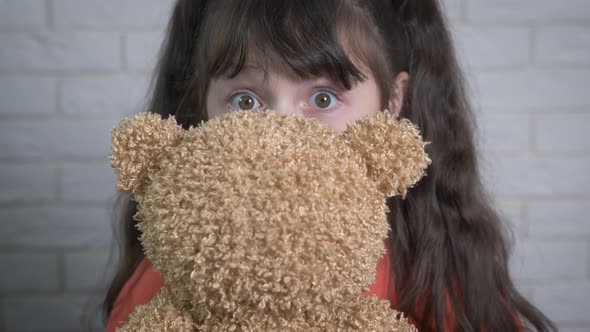 Hide with Teddy Bear alt