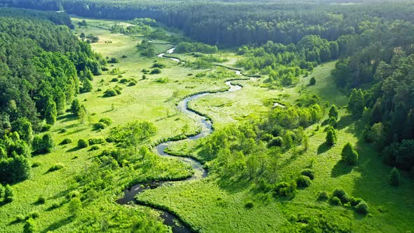 Beautiful river and green forest in summer, aerial view alt
