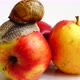 Snail on Apples 2 - VideoHive Item for Sale