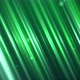 Pine Green Lights Background - VideoHive Item for Sale