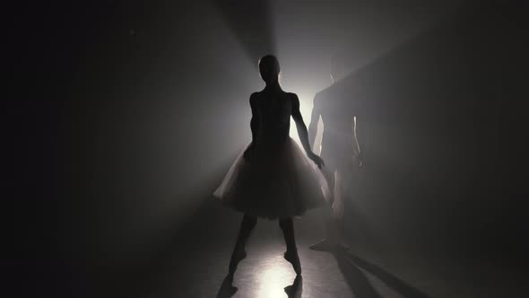 Graceful Ballerina and Her Male Partner Dancing Elements of Classical or Modern Ballet in Dark with alt