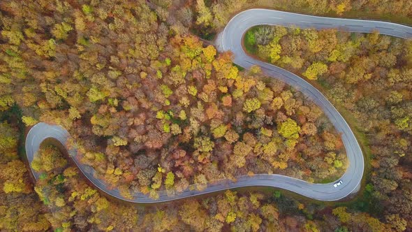 Aerial View of Curvy Country Road in Autumn