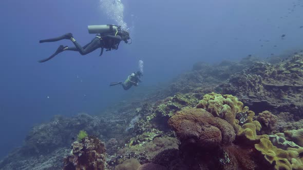 Scuba Diver Diving Underwater Blue Sea Over Beautiful Coral Reef and Fish. Divers Swimming alt