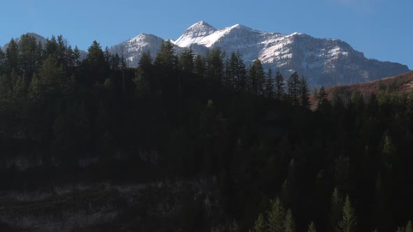 Rising aerial view revealing snow capped mountains from behind pine trees alt