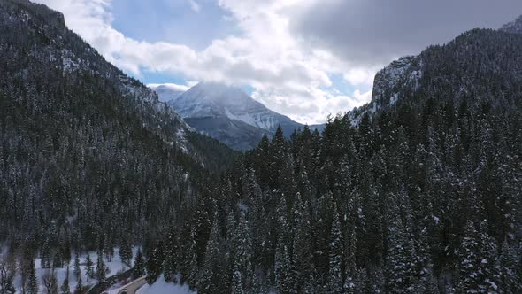 Flying over pine tree forest looking down canyon to mountain alt