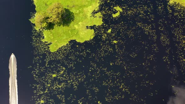 A drone video following a boat and a flock of birds on Withlacoochee River. alt