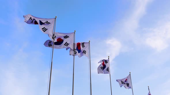 Republic Korea Flag, Stock Footage | VideoHive