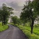 Spring Countryside Road - VideoHive Item for Sale