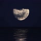 Ocean Moonlight - VideoHive Item for Sale