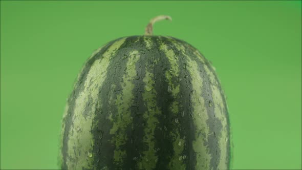 Watermelon On Green Background Studio