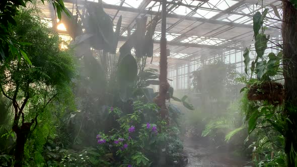 Vertical Watering in a Tropical Greenhouse Cultivation of Exotic Plants