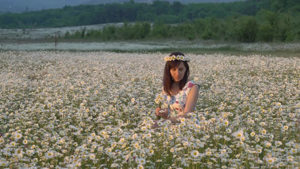 Beautiful Girl in Meadow of Camomile Flower