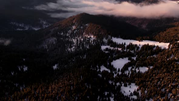 Drone Flying Over Dark Forest with Sea of Clouds at Sunrise