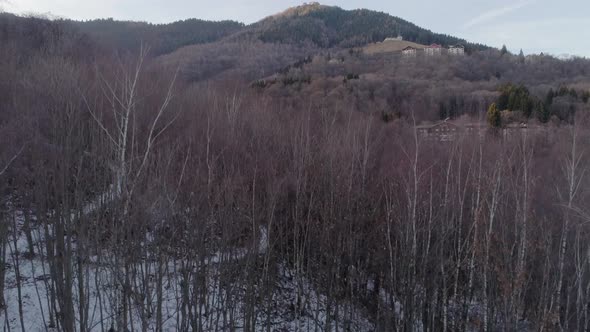 Aerial Drone Flight Over Snowy Forest Woods at Sunset with People Walking