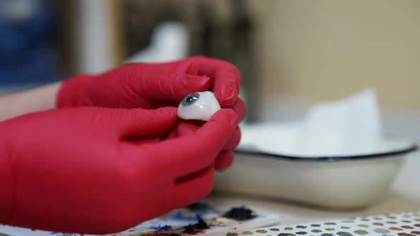 Ophtalmologist holds plastic eyeball in hands. Detailed model of eye.  alt