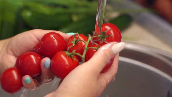 Washing Tomatoes Under Running Water in a Professional Kitchen alt