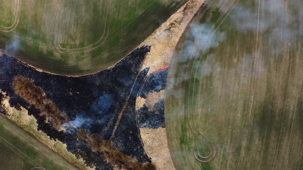 Epic aerial view of Wildfire. Flying above burnt field. Environmental issues. Top view of Fire alt