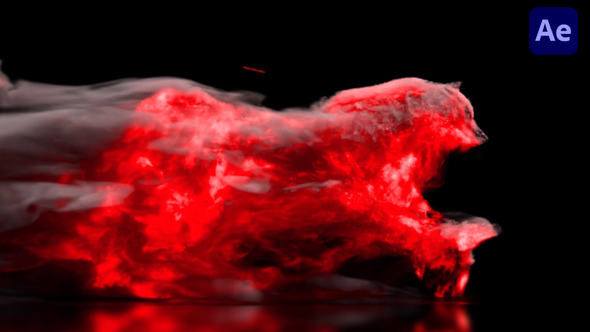 Wild Flame Logo Reveal Logo Stings template preview