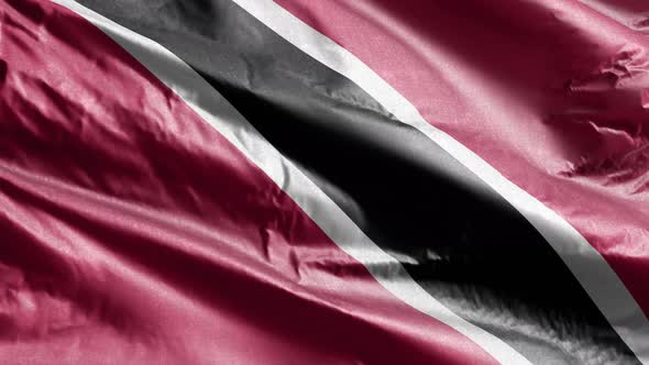 Trinidad and Tobago textile flag waving on the wind. 10 seconds loop.  alt