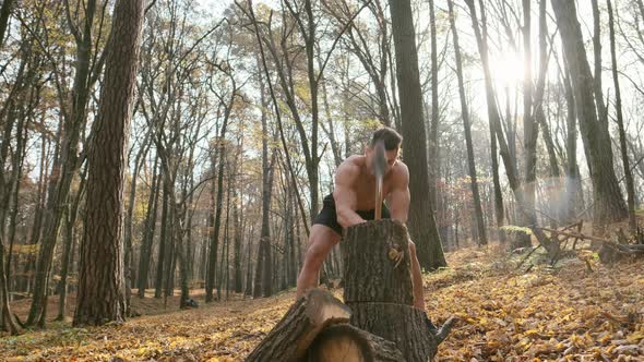 Strong Guy With Naked Torso Cuts Firewood With An Ax In The Forest alt