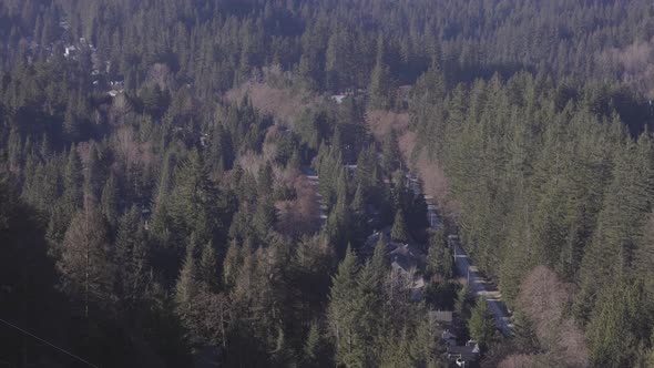 Aerial View of Modern City on the West Coast of Pacific Ocean alt