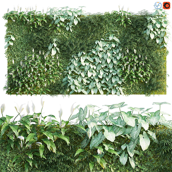 Vertical garden 05