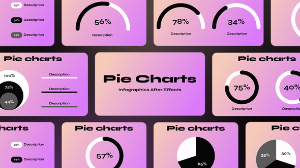 Pie Charts Infographics template preview